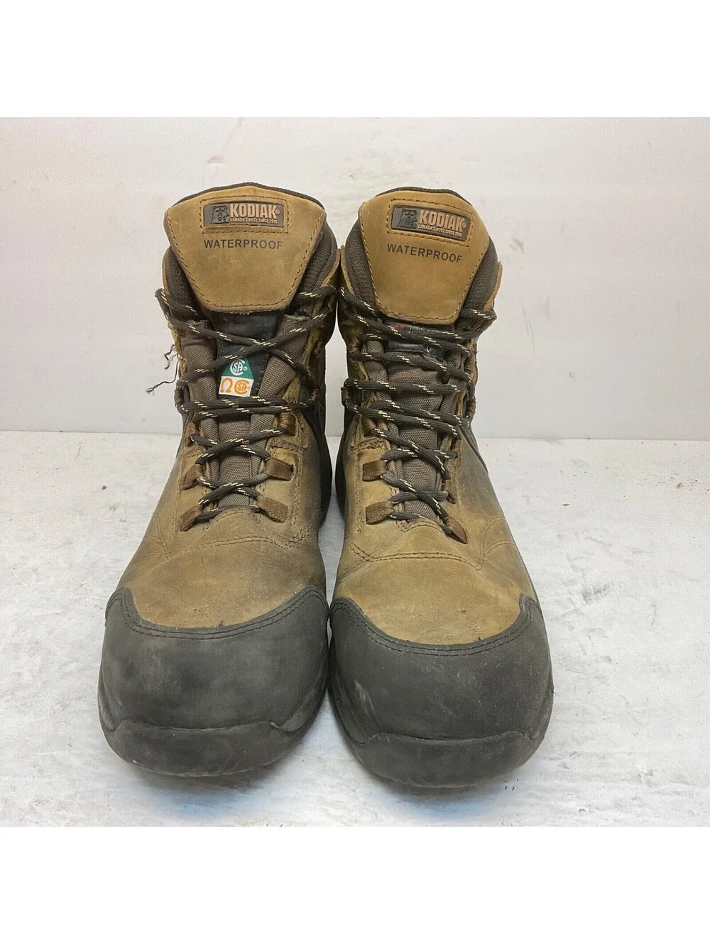 Kodiak Men's Journey 6